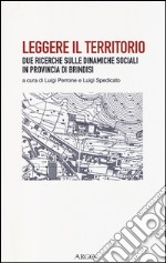 Leggere il territorio. Due ricerche sulle dinamiche sociali in provincia di Brindisi libro