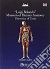 Museum of human anatomy. University of Turin libro di Rolando Luigi