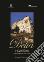 Delia il castellazzo. Scavi e restauri (1987-1995)