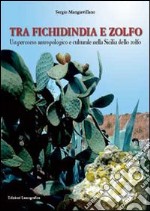 Tra fichidindia e zolfo. Un percorso antropologico e culturale nella Sicilia dello zolfo libro