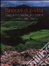 Itinerari di pietra. Viaggio tra paesaggi e castelli al centro della Sicilia. Ediz. illustrata libro