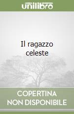 Il ragazzo celeste