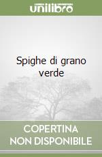 Spighe di grano verde