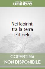 Nei labirinti tra la terra e il cielo libro