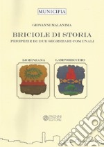 Briciole di storia. Peripezie di due segretari comunali. Lorenzana e Lamporecchio libro