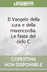 Il Vangelo della cura e della misericordia. Le feste del ciclo C libro