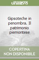 Gipsoteche in penombra. Il patrimonio piemontese