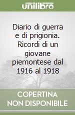 Diario di guerra e di prigionia. Ricordi di un giovane piemontese dal 1916 al 1918 libro