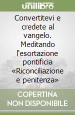 Convertitevi e credete al vangelo. Meditando l'esortazione pontificia «Riconciliazione e penitenza» libro