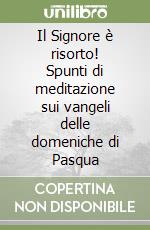 Il Signore è risorto! Spunti di meditazione sui vangeli delle domeniche di Pasqua libro