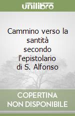 Cammino verso la santità secondo l'epistolario di S. Alfonso libro