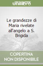 Le grandezze di Maria rivelate all'angelo a S. Brigida libro