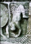 Arco di Costantino. Tra archeologia e archeometria libro