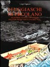 I fuggiaschi di Ercolano. Paleobiologia delle vittime dell'eruzione vesuviana del 79 d. C. libro di Capasso Luigi