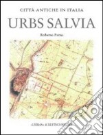 Urbs Salvia. Forma e urbanistica