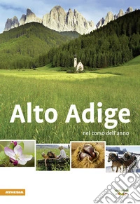 Alto Adige nel corso dell'anno 2012 libro