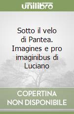 Sotto il velo di Pantea. Imagines e pro imaginibus di Luciano libro