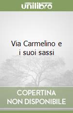 Via Carmelino e i suoi sassi libro