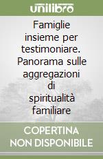 Famiglie insieme per testimoniare. Panorama sulle aggregazioni di spiritualità familiare libro