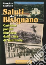 Saluti da Bisignano. Cartoline postali illustrate dalla città di Sant'Umile. Ediz. illustrata libro