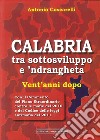 Calabria tra sottosviluppo e 'ndrangheta vent'anni dopo libro di Coscarelli Antonio