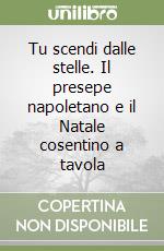 Tu scendi dalle stelle. Il presepe napoletano e il Natale cosentino a tavola libro