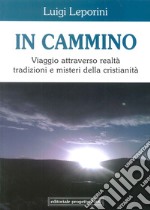 In cammino. Viaggio attraverso realtà tradizioni e misteri della cristianità