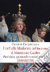 I vuti alla Madonna del Soccorso di Monterosso Calabro. Pani-dolci, spicanardi e santini popolari libro