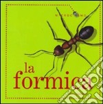 La formica libro