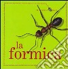 La formica libro di Morris Ting