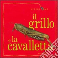 Il grillo e la cavalletta