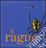 Il ragno libro