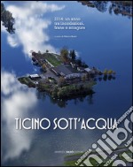 Ticino sott'acqua. 2014: un anno tra inondazioni, frane e sciagure. Ediz. illustrata libro