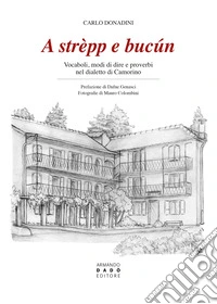 A strèpp e bucún. Vocaboli, modi di dire e proverbi nel dialetto di Camorino libro