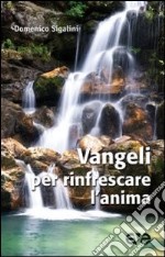 Vangeli per rinfrescare l'anima libro