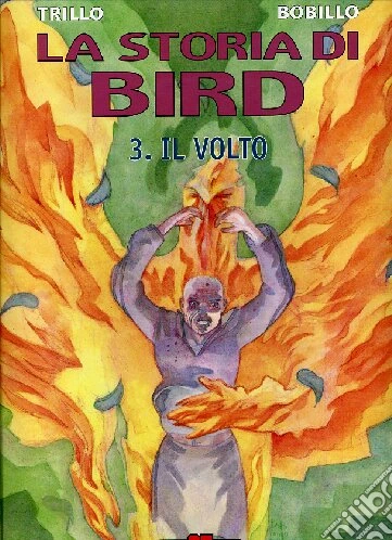 Il volto