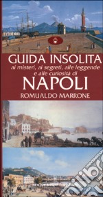 Guida insolita ai misteri, ai segreti, alle leggende e alle curiosità di Napoli libro