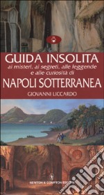 Guida insolita ai misteri, ai segreti, alle leggende e alle curiosità di Napoli sotterranea libro