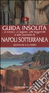 Guida insolita ai misteri, ai segreti, alle leggende e alle curiosità di Napoli sotterranea libro