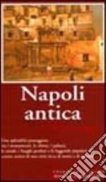 Napoli antica libro