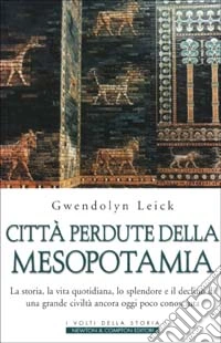 Città perdute della Mesopotamia. La storia, la vita quotidiana, lo splendore e il declino di una grande civiltà ancora oggi poco conosciuta libro
