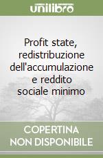 Profit state, redistribuzione dell'accumulazione e reddito sociale minimo libro