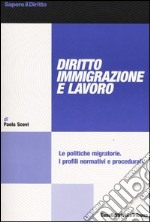 Diritto immigrazione e lavoro. Le politiche migratorie. I profili normativi e procedurali