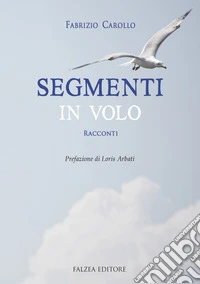 Segmenti in volo