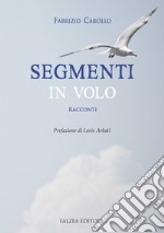 Segmenti in volo libro