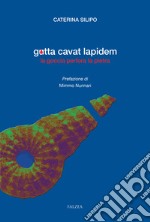 Gutta cavat lapidem. La goccia perfora la pietra libro