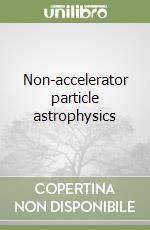 Non-accelerator particle astrophysics