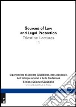 Source of law and legal protection. Ediz. italiana e inglese. Vol. 1