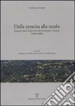 Dalla crescita alla tutela. Quarant'anni di governo del territorio a Fiesole (1960-2000) libro