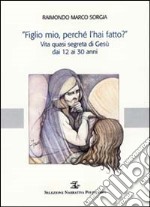 «Figlio mio, perché l'hai fatto?». Vita quasi segreta di Gesù dai 12 ai 30 anni libro